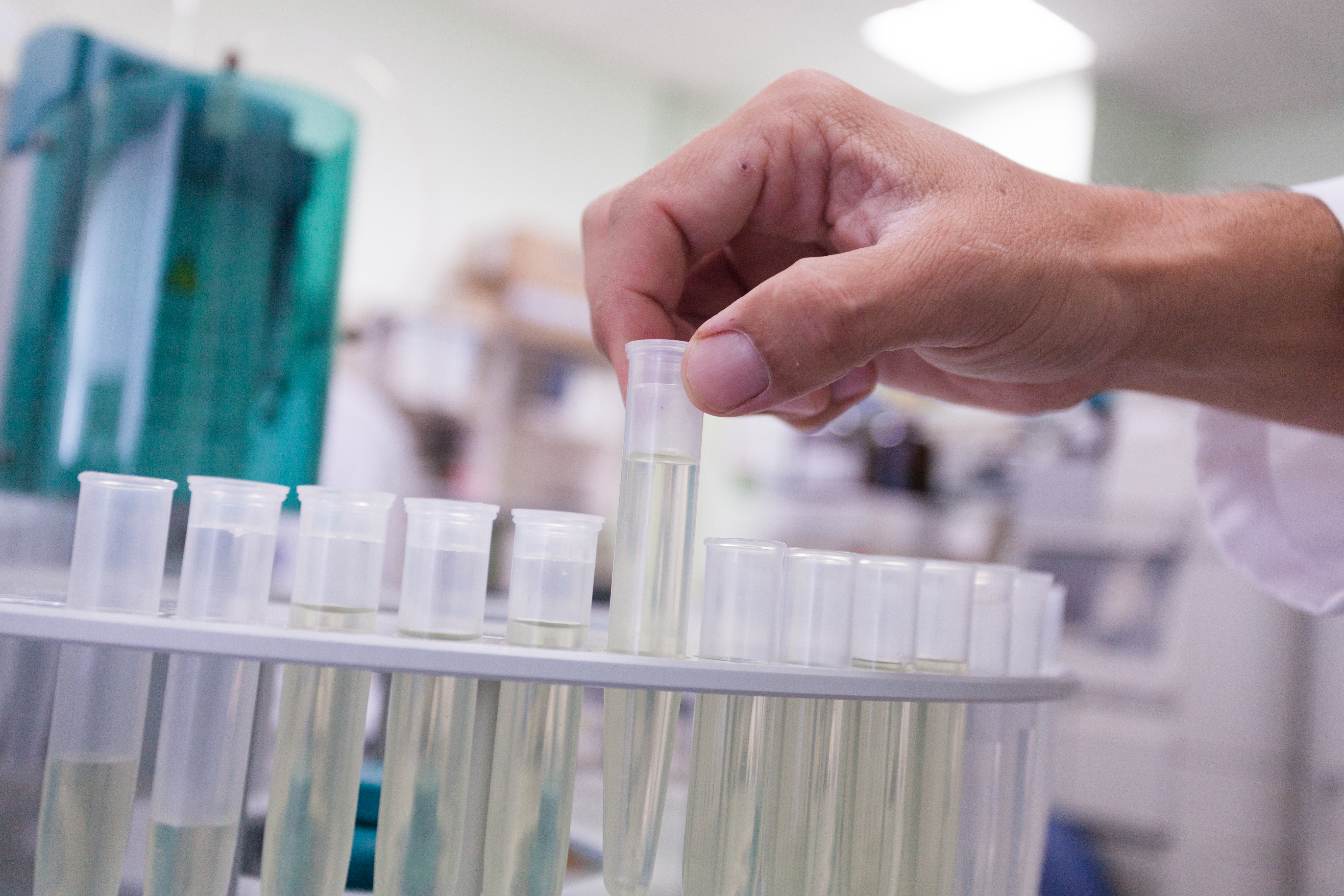 El Consejo de Gobierno aprueba el nuevo Plan propio de investigación y Transferencia